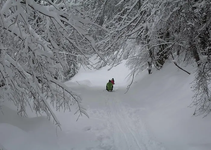 Im Haus Primula Appartement Obersaxen