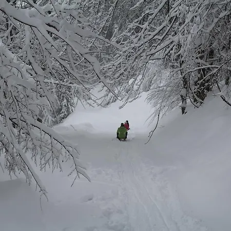 Im Haus Primula Daire Obersaxen